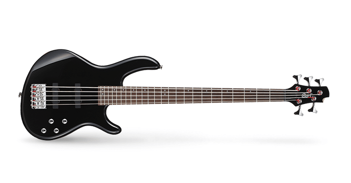 Read more about the article Cort Action V 5-String Bass Guitar