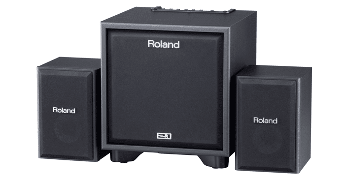 Read more about the article Roland CM-110