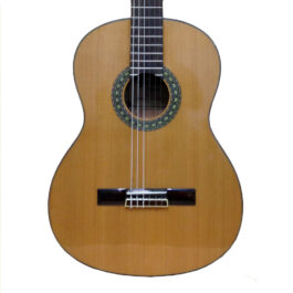Caraya C950N Classical Nylon String Guitar