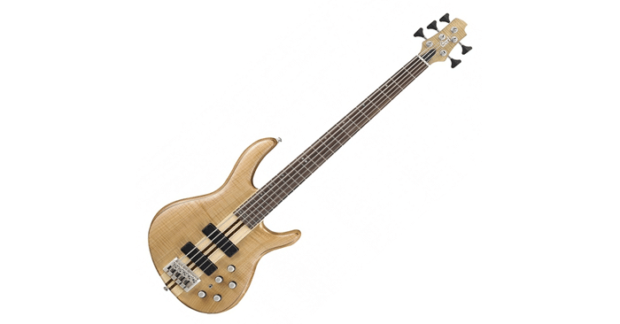 Read more about the article Cort ARTISAN A5 OPN Bass