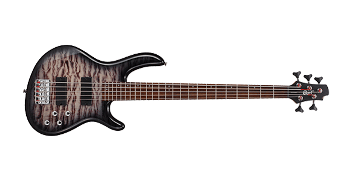 Read more about the article Cort Action V-DLX 5 String Bass