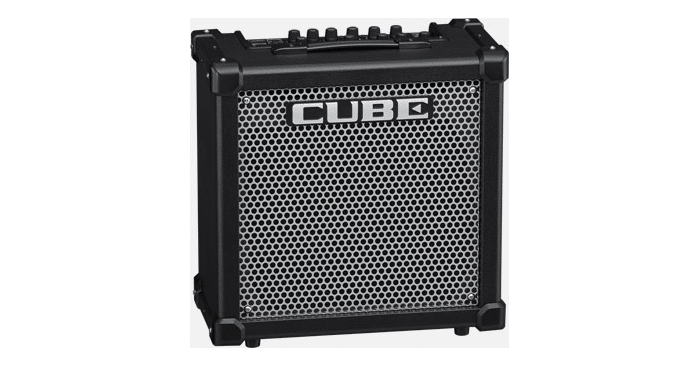 Read more about the article Roland Cube40GX