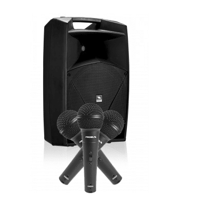 Read more about the article Proel V15A Speaker Combo