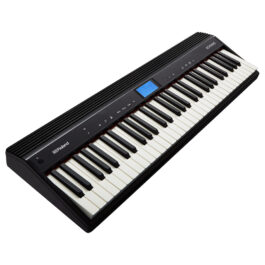 Roland Go-Piano GO-61P Digital Piano
