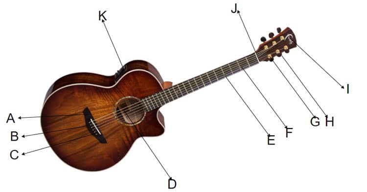Anatomy of an Acoustic Guitar