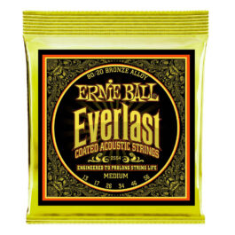 Ernie Ball Everlast 80/20 Bronze Acoustic Guitar Strings – (13-56)
