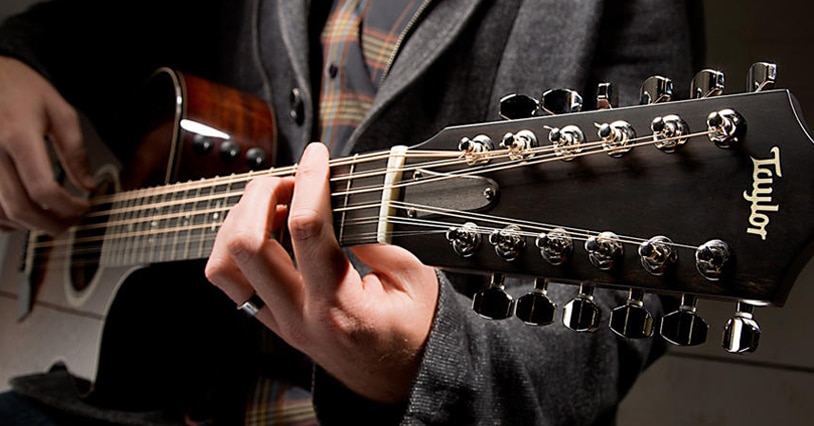Read more about the article Taylor Professional Quality Acoustic Guitars