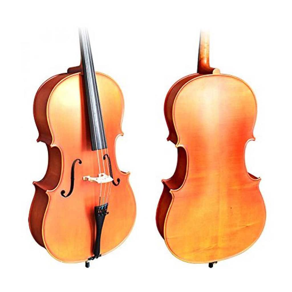 Sandner 4/4 Size Cello Outfit with Bag | Bothners | Musical instrument