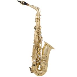 Grassi GR AS20SK Alto Saxophone Student Kit