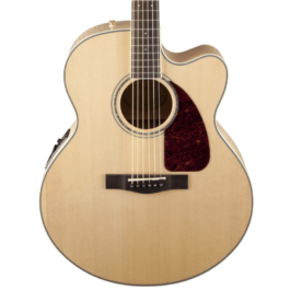 Fender CJ-290SCE Jumbo Maple Acoustic-Electric Guitar including Case – Natural