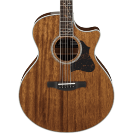 Ibanez AE245-NT AE Series Acoustic-Electric Guitar – Natural