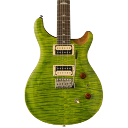 PRS SE Custom 24 Electric Guitar – Eriza Verde
