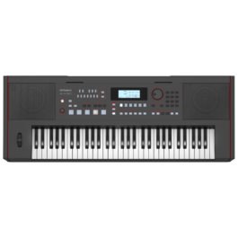 Roland E-X50 61-key Arranger Keyboard – Black