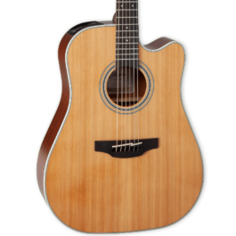 Takamine GD20CE-NS Acoustic-Electric Guitar – Natural Satin