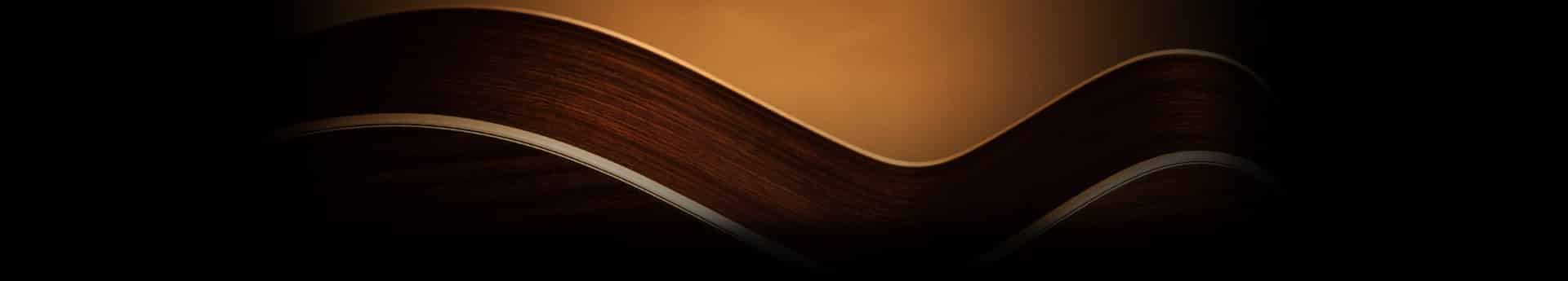 Read more about the article Exploring the Takamine G-Series Guitars