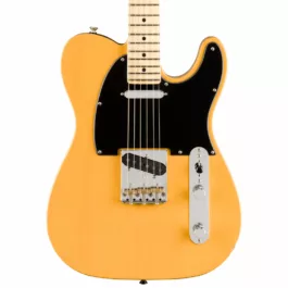 Fender Limited Edition American Performer Telecaster®, Maple Fingerboard, Butterscotch Blonde