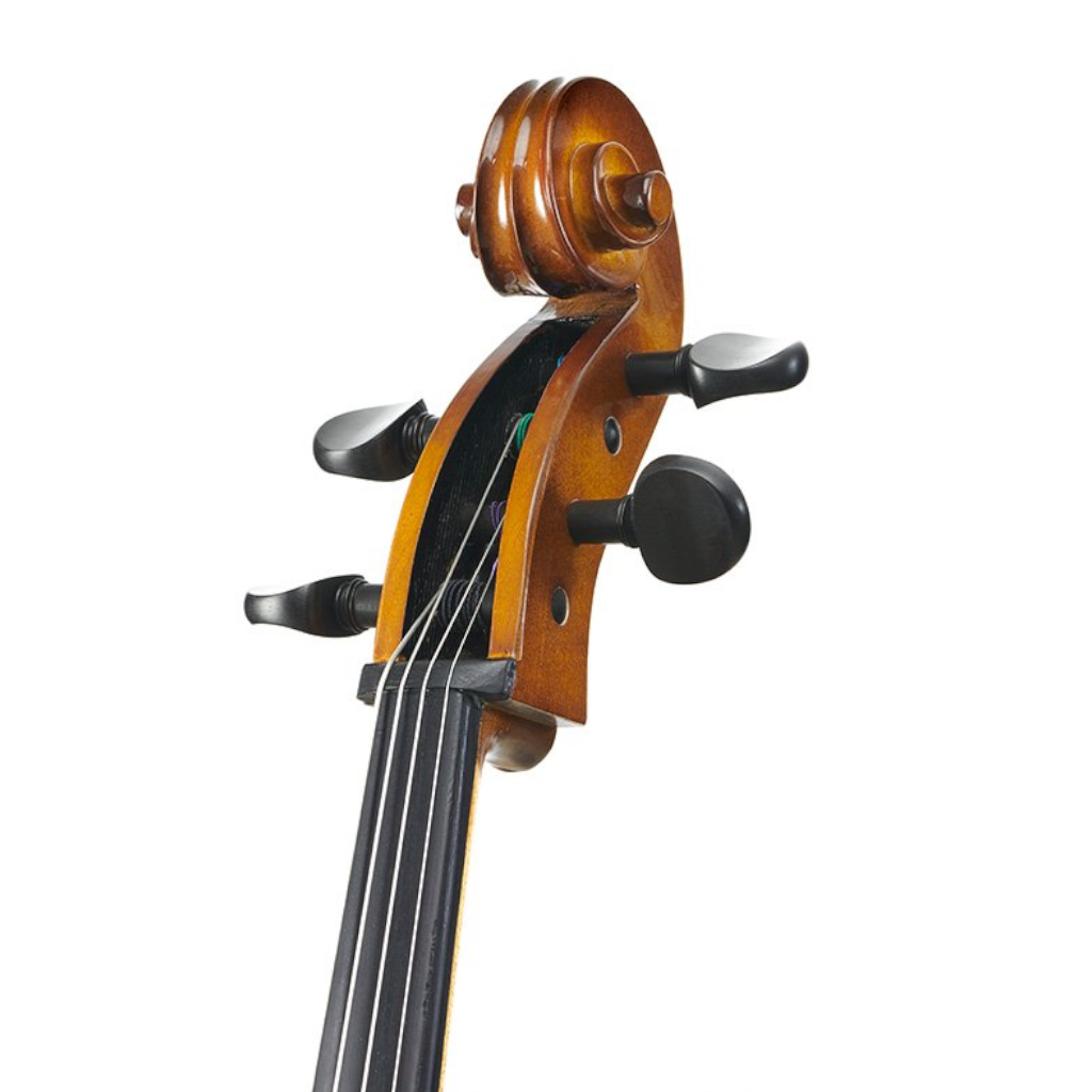 Stentor ステンター Student II チェロ 4/4 ケース付き Stentor Student II 4/4 (full-size) Cello Outfit | Bothners